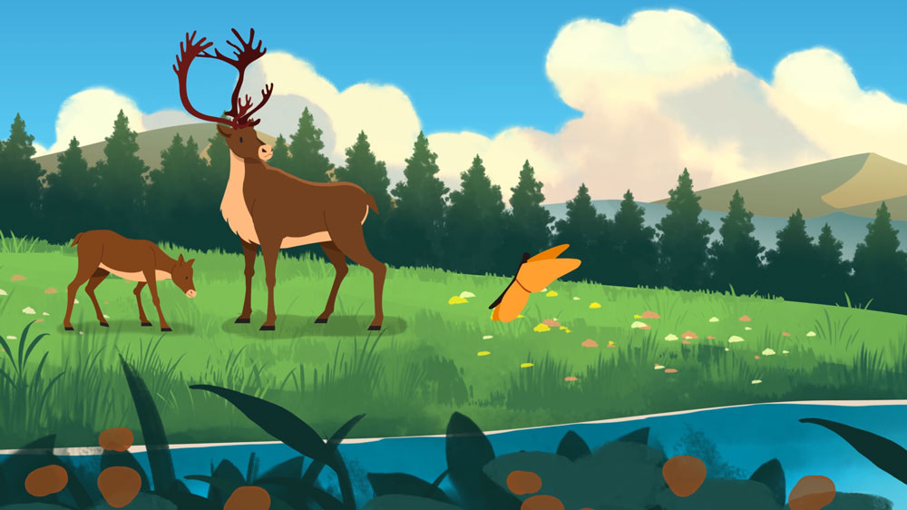 Woodland Caribou