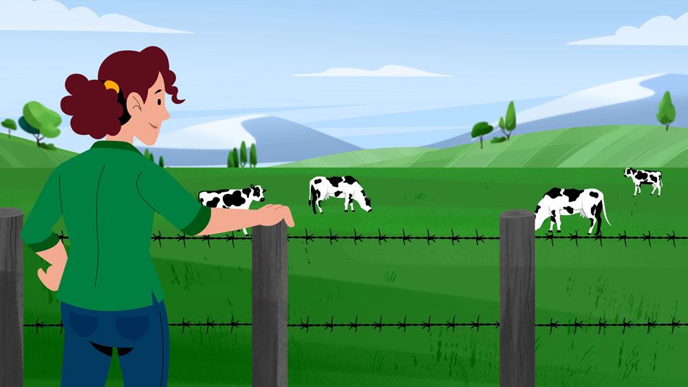 Dairy Farms of Canada