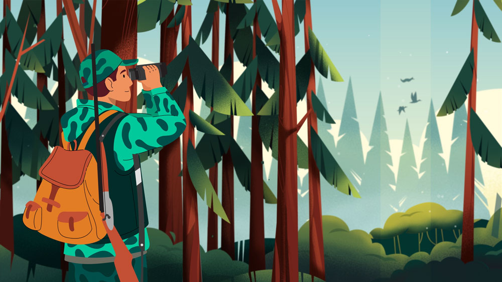 Illustrated forest scene from the Upper Hay Regional Forests animation