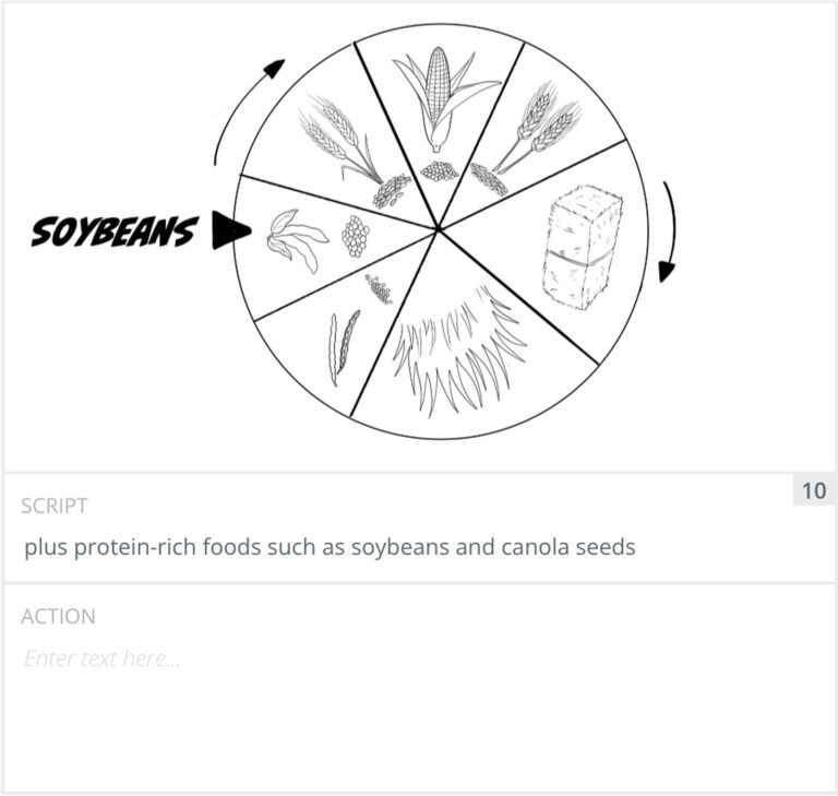 Storyboard panel 10: the feed ring turned to soybeans